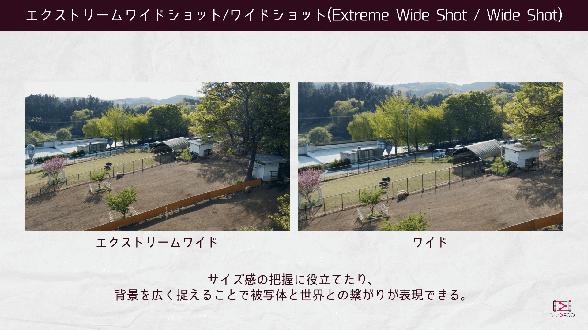 エクストリームワイドショット/ワイドショット(Extreme Wide Shot / Wide Shot)